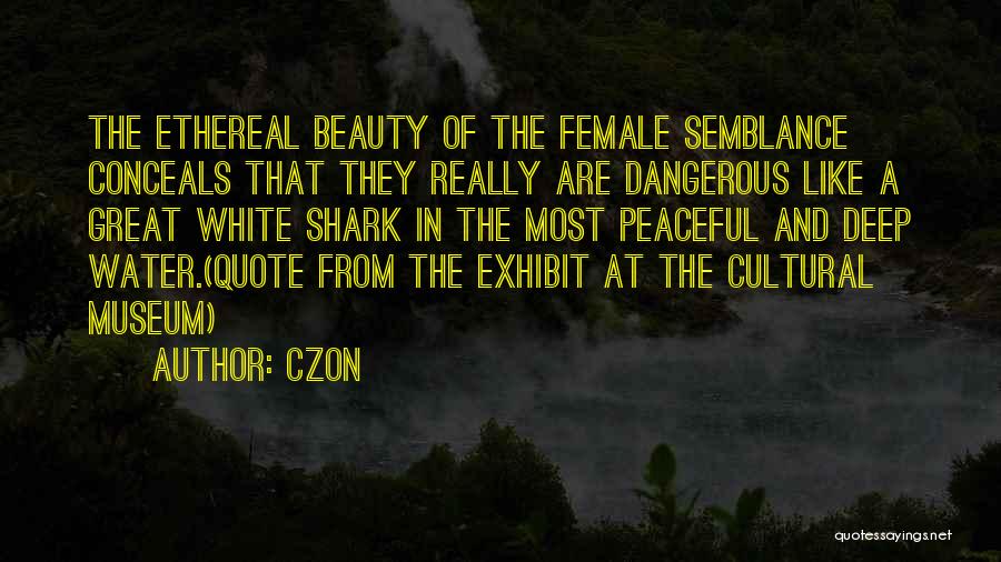 A Woman's Beauty And Strength Quotes By Czon