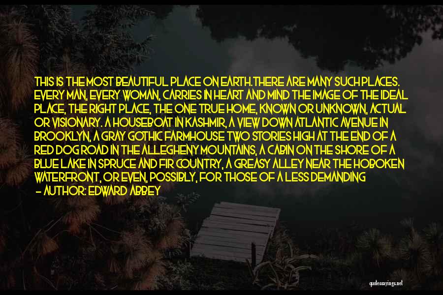 A Woman's Place Is In The Home Quotes By Edward Abbey