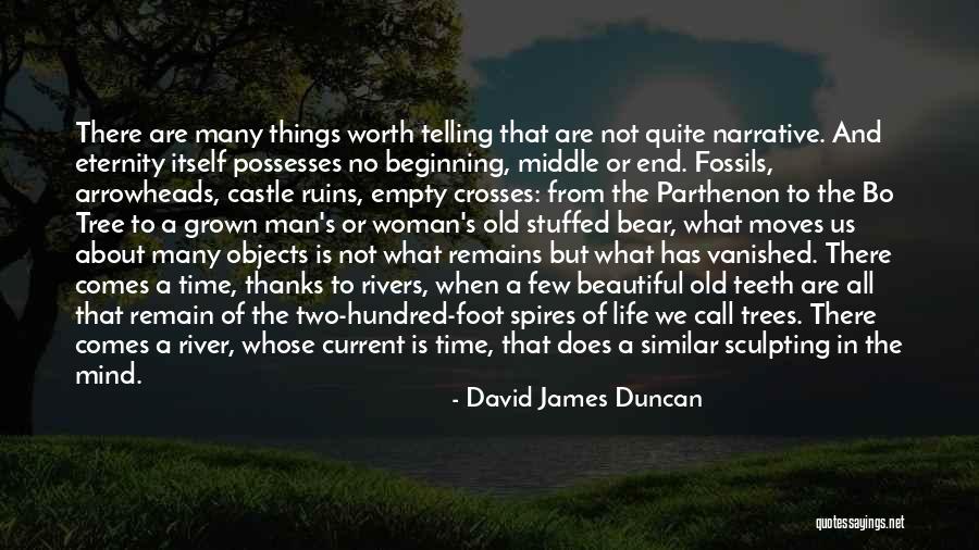 A Woman's Worth To A Man Quotes By David James Duncan