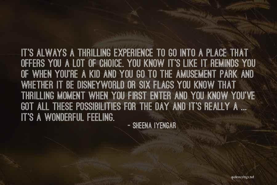 A Wonderful Day Quotes By Sheena Iyengar