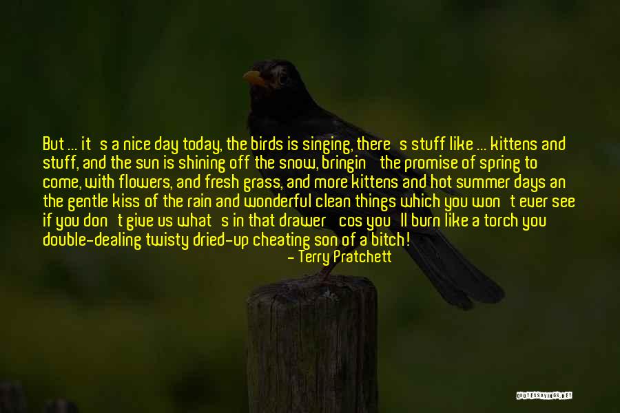 A Wonderful Day Quotes By Terry Pratchett