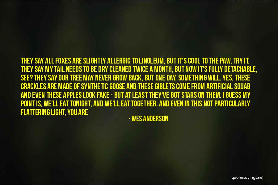 A Wonderful Day Quotes By Wes Anderson