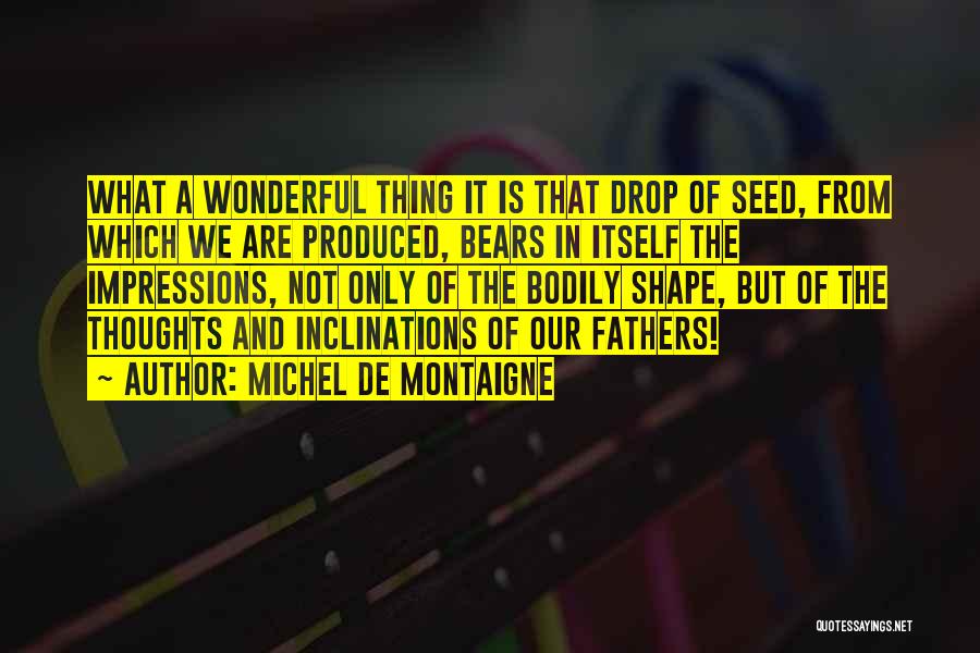 A Wonderful Father Quotes By Michel De Montaigne