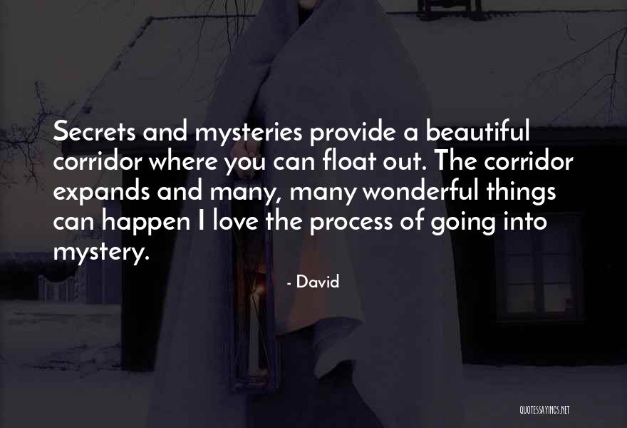 A Wonderful Love Quotes By David