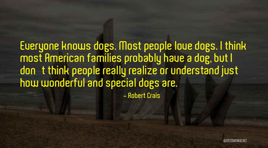 A Wonderful Love Quotes By Robert Crais