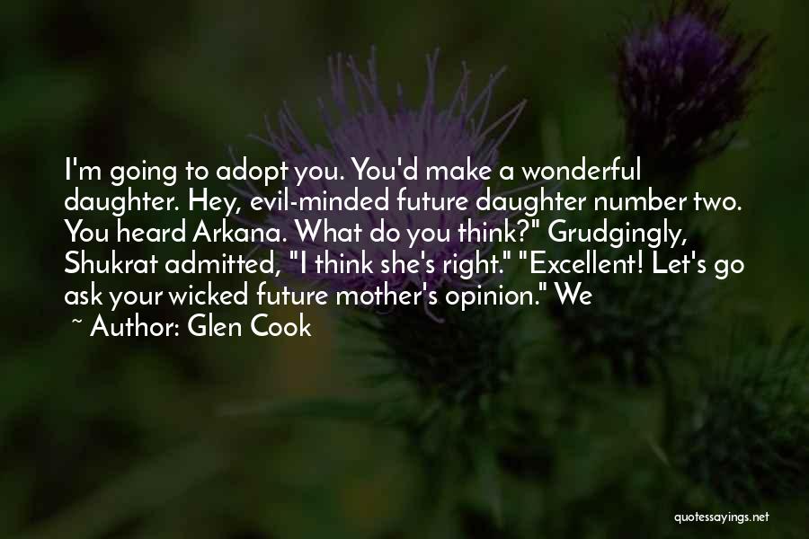 A Wonderful Mother Quotes By Glen Cook