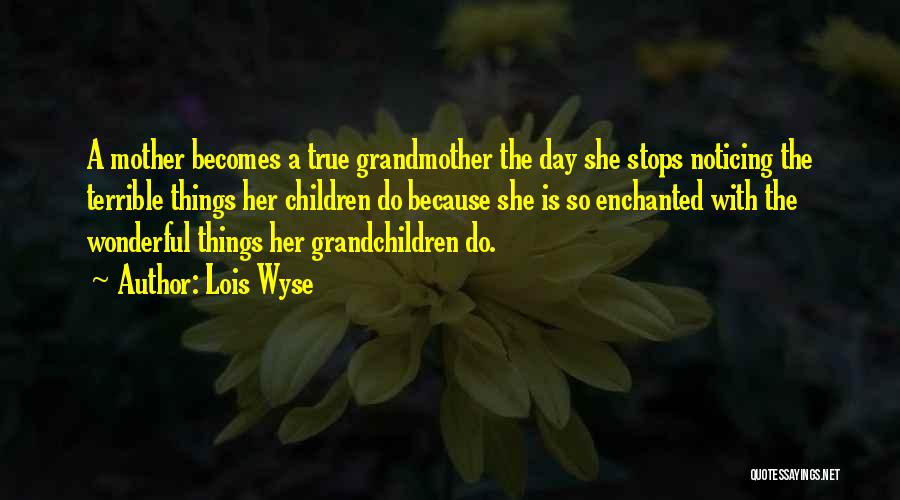 A Wonderful Mother Quotes By Lois Wyse