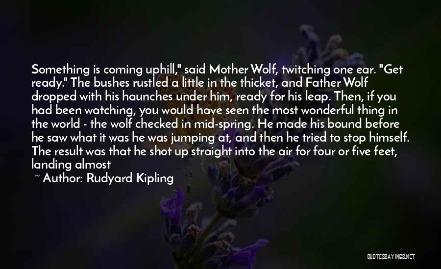 A Wonderful Mother Quotes By Rudyard Kipling