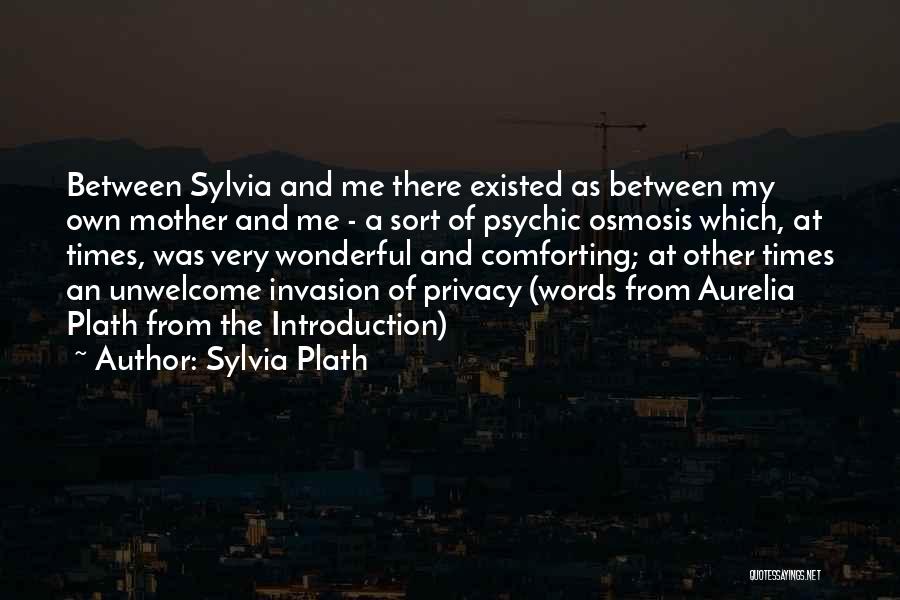 A Wonderful Mother Quotes By Sylvia Plath