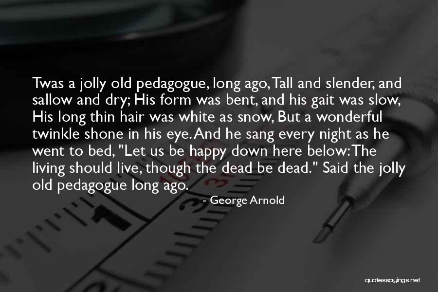 A Wonderful Night Quotes By George Arnold A Wonderful Night Quotes By George Arnold