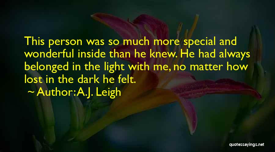 A Wonderful Person Quotes By A.J. Leigh