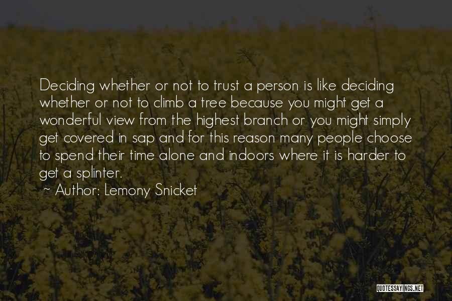 A Wonderful Person Quotes By Lemony Snicket