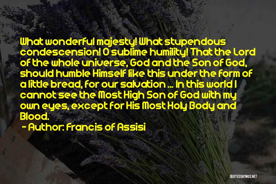 A Wonderful Son Quotes By Francis Of Assisi