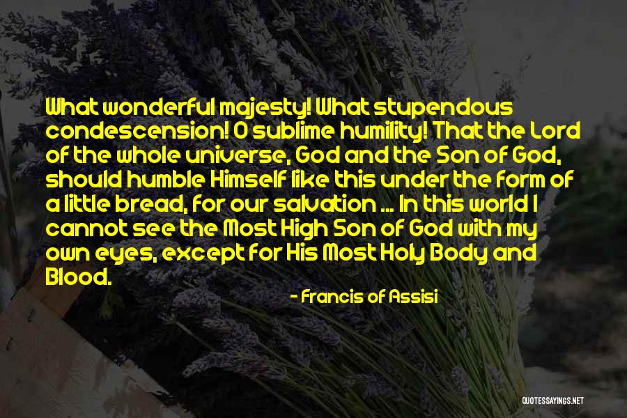 A Wonderful Son Quotes By Francis Of Assisi