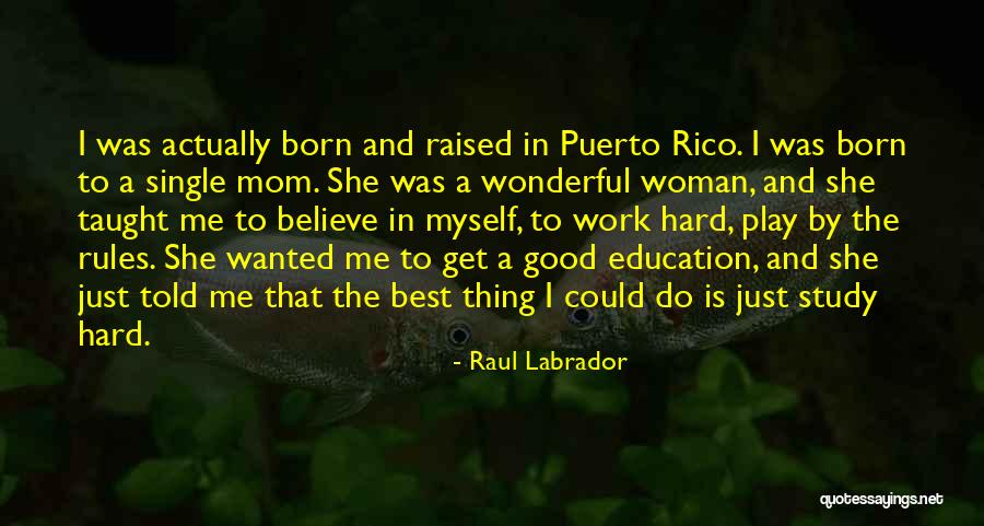 A Wonderful Woman Quotes By Raul Labrador