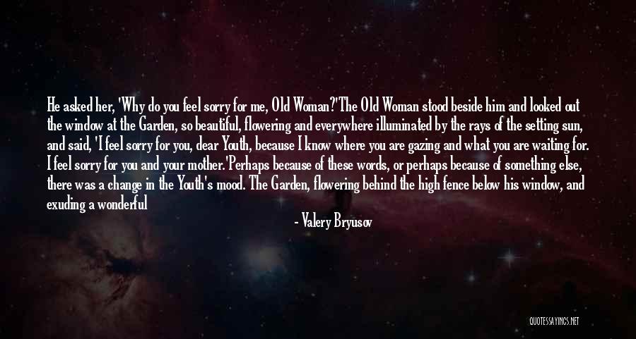 A Wonderful Woman Quotes By Valery Bryusov