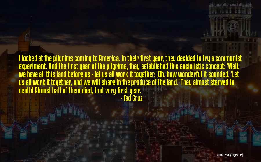 A Wonderful Year Quotes By Ted Cruz A Wonderful Year Quotes By Ted Cruz