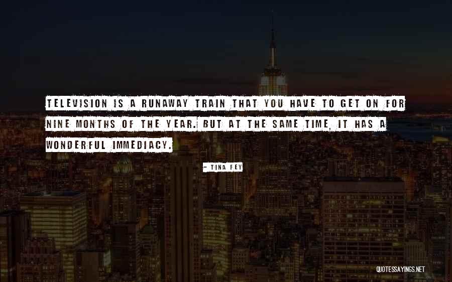 A Wonderful Year Quotes By Tina Fey A Wonderful Year Quotes By Tina Fey