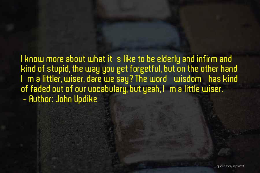 A Word Of Wisdom Quotes By John Updike