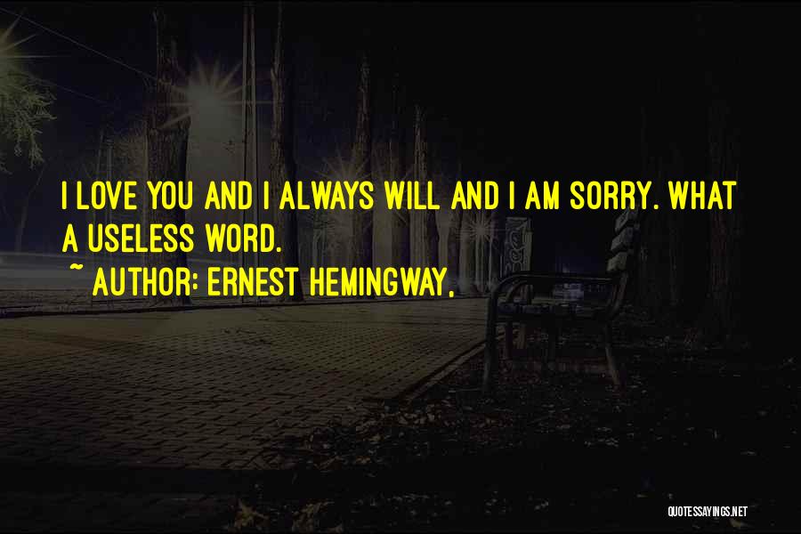 A Word Sorry Quotes By Ernest Hemingway,