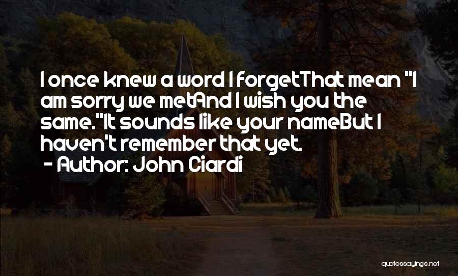A Word Sorry Quotes By John Ciardi
