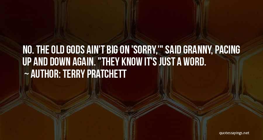 A Word Sorry Quotes By Terry Pratchett