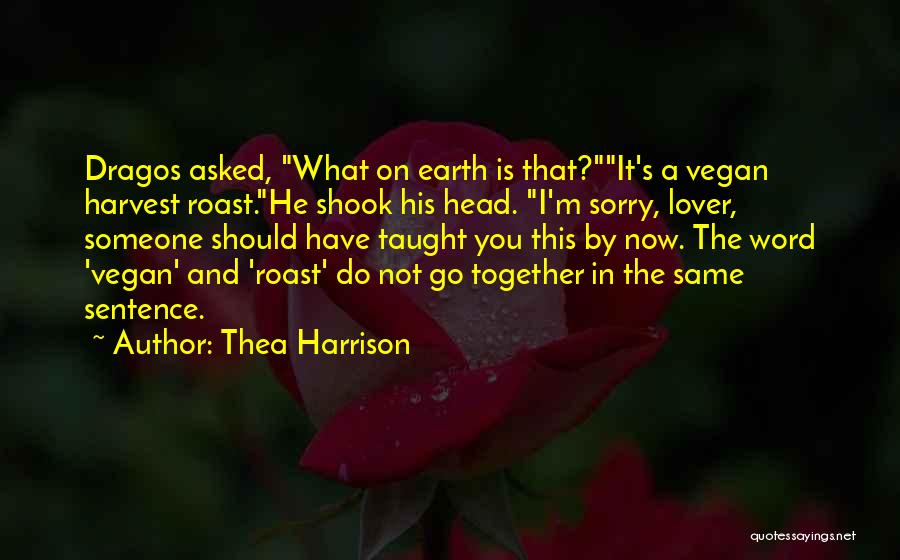 A Word Sorry Quotes By Thea Harrison