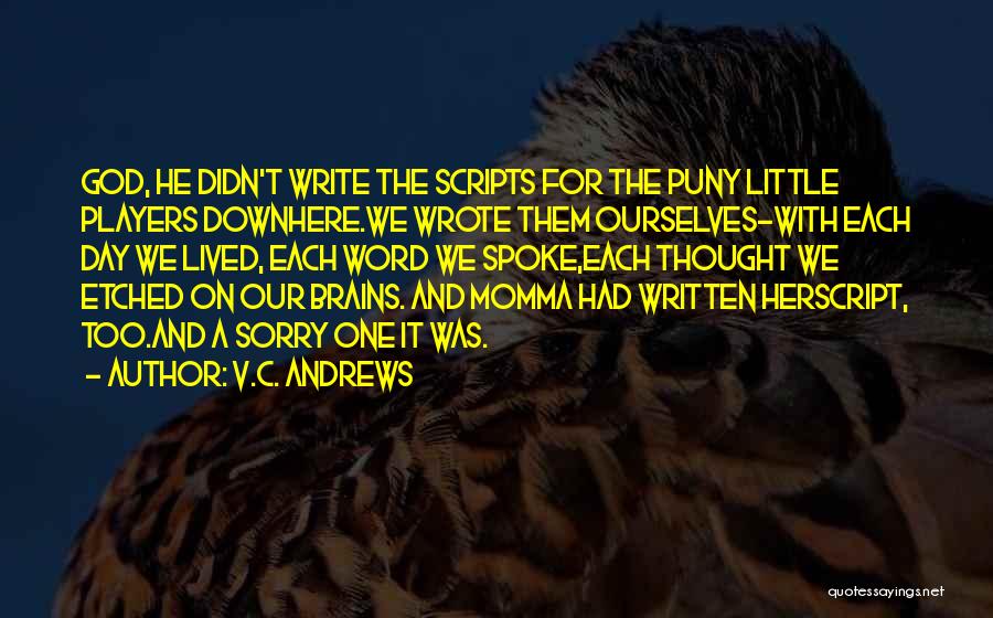 A Word Sorry Quotes By V.C. Andrews