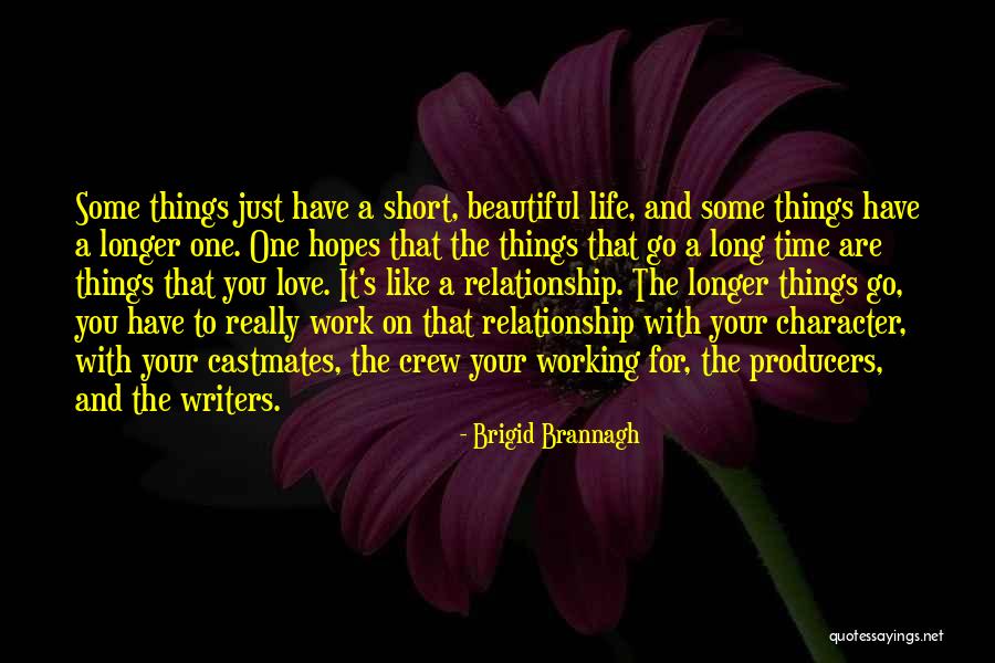 A Working Relationship Quotes By Brigid Brannagh