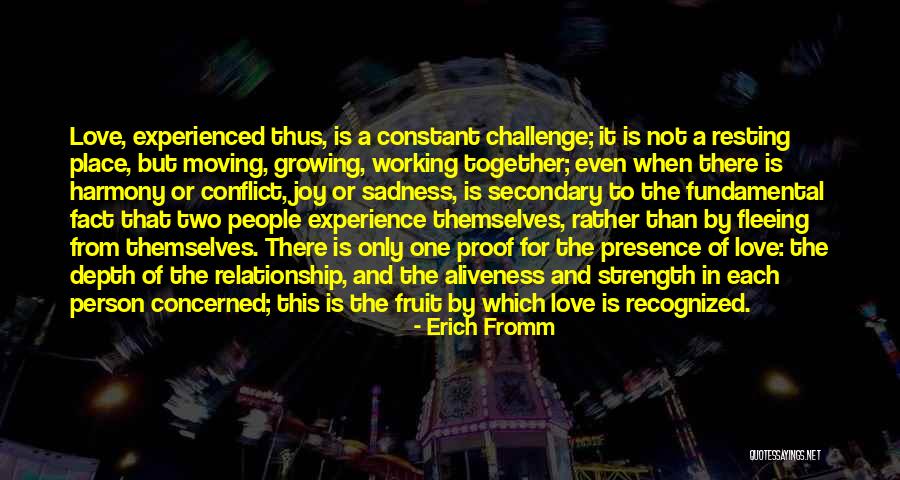 A Working Relationship Quotes By Erich Fromm