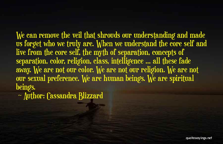 A World Without Religion Quotes By Cassandra Blizzard