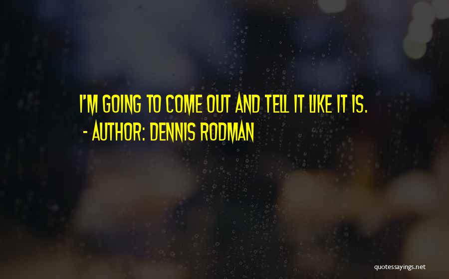 A Worn Path Significant Quotes By Dennis Rodman