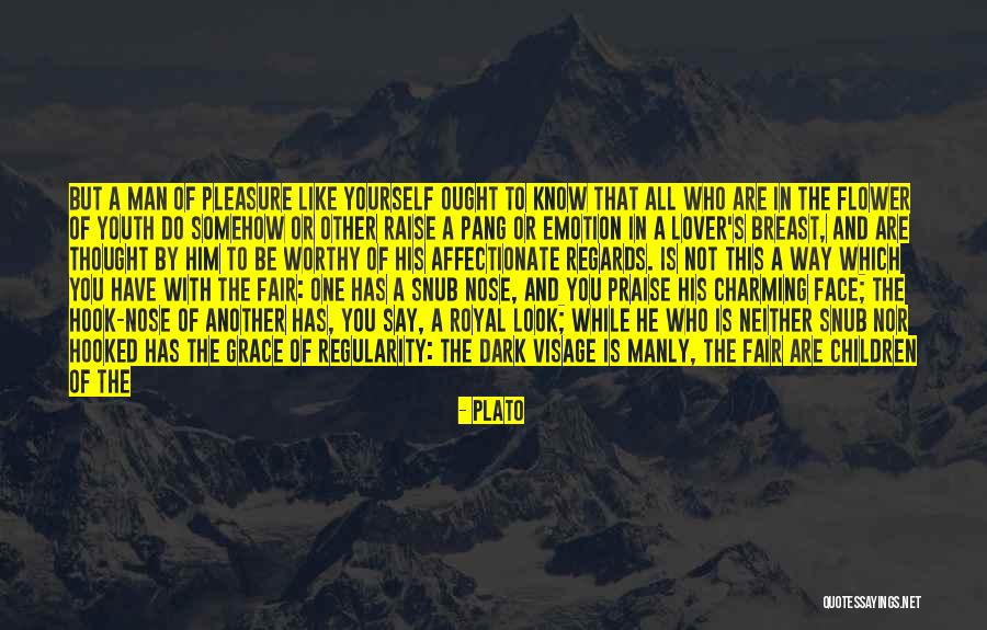 A Worthy Man Quotes By Plato