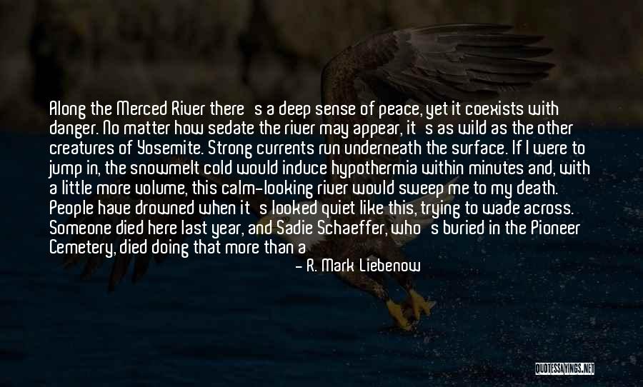 A Year Ago Short Quotes By R. Mark Liebenow A Year Ago Short Quotes By R. Mark Liebenow