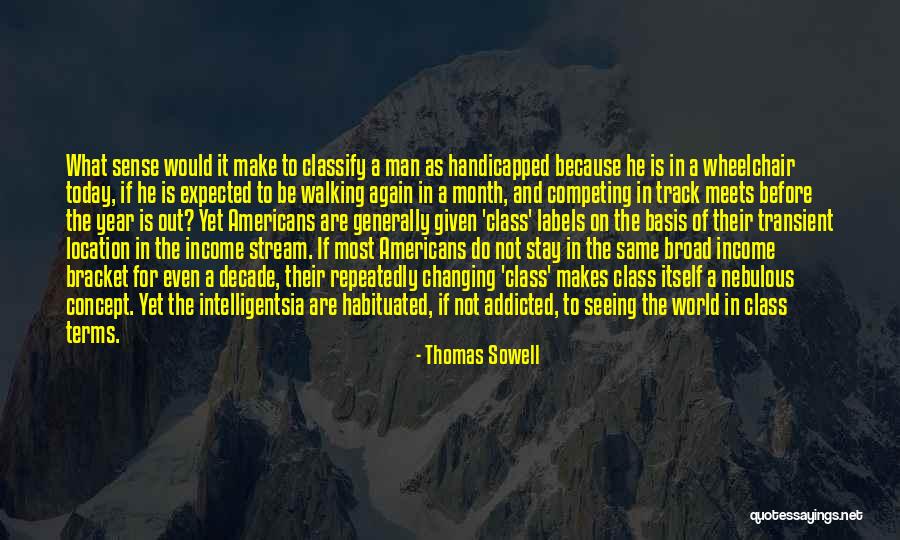 A Year Has Gone By Quotes By Thomas Sowell