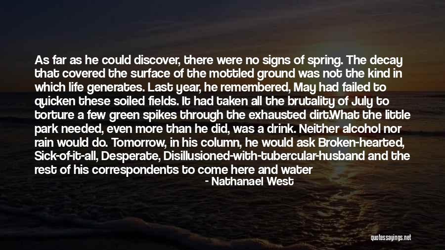 A Year Of Change Quotes By Nathanael West