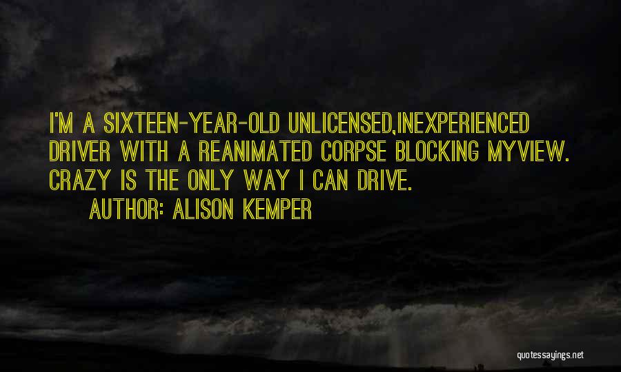 A Year Old Quotes By Alison Kemper