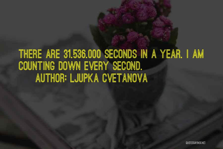 A Year Passing Quotes By Ljupka Cvetanova