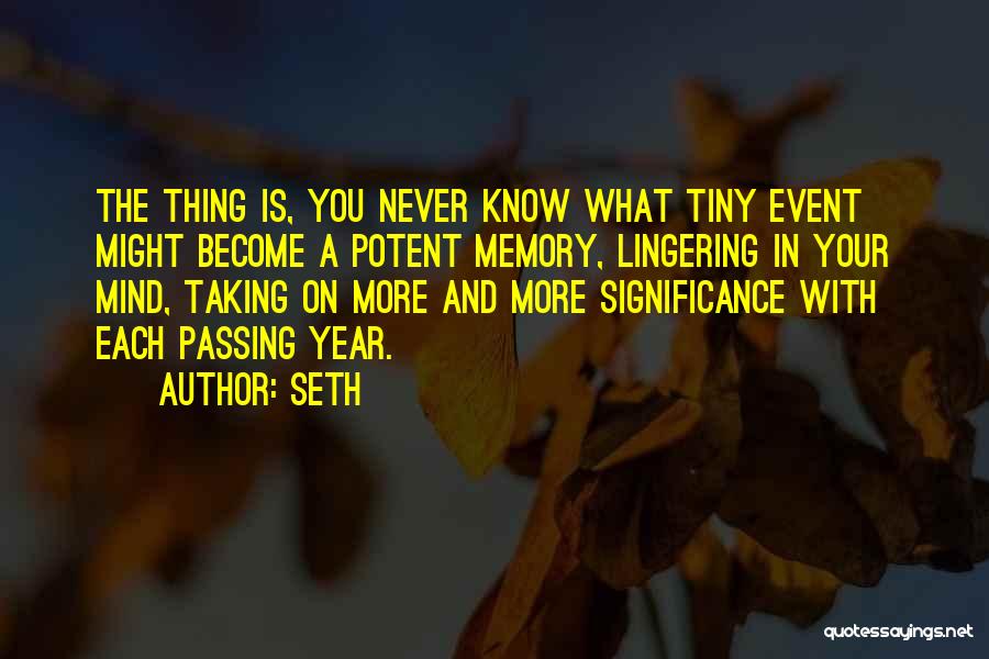 A Year Passing Quotes By Seth