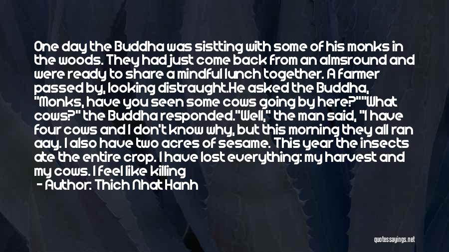 A Year Passing Quotes By Thich Nhat Hanh