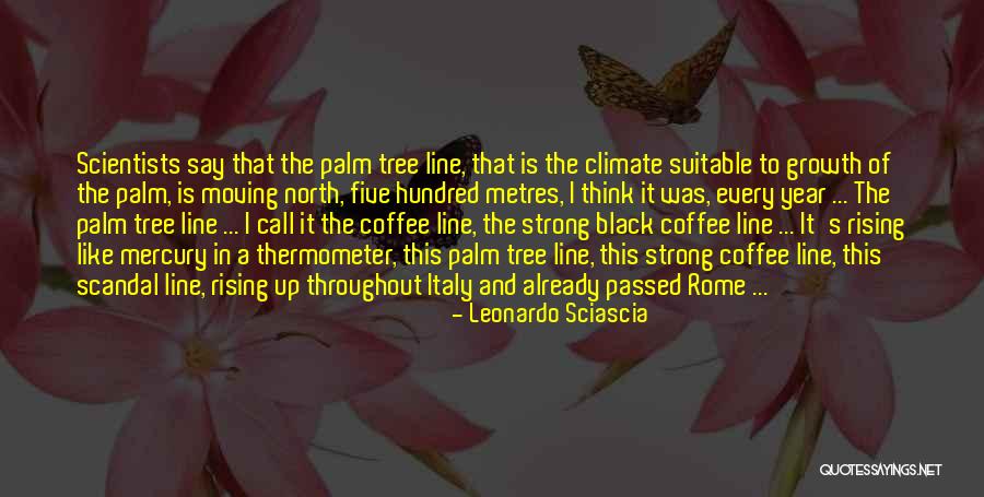 A Year Since You Passed Quotes By Leonardo Sciascia