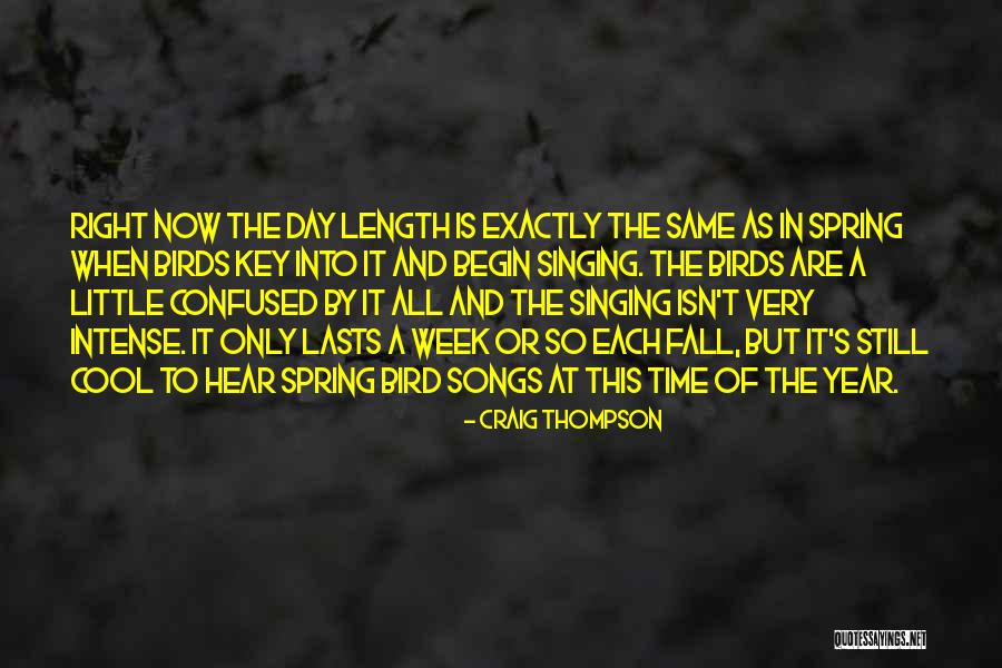 A Year's Time Quotes By Craig Thompson