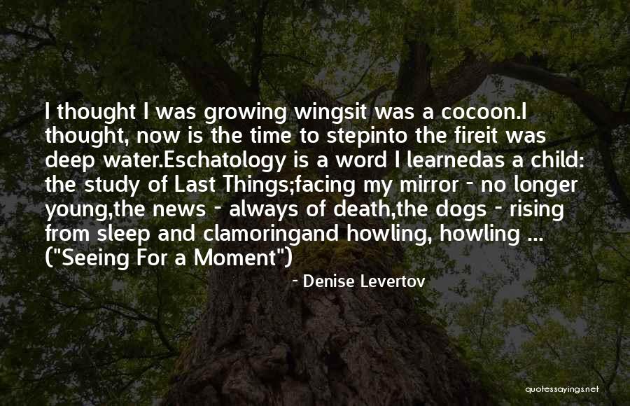 A Young Death Quotes By Denise Levertov A Young Death Quotes By Denise Levertov