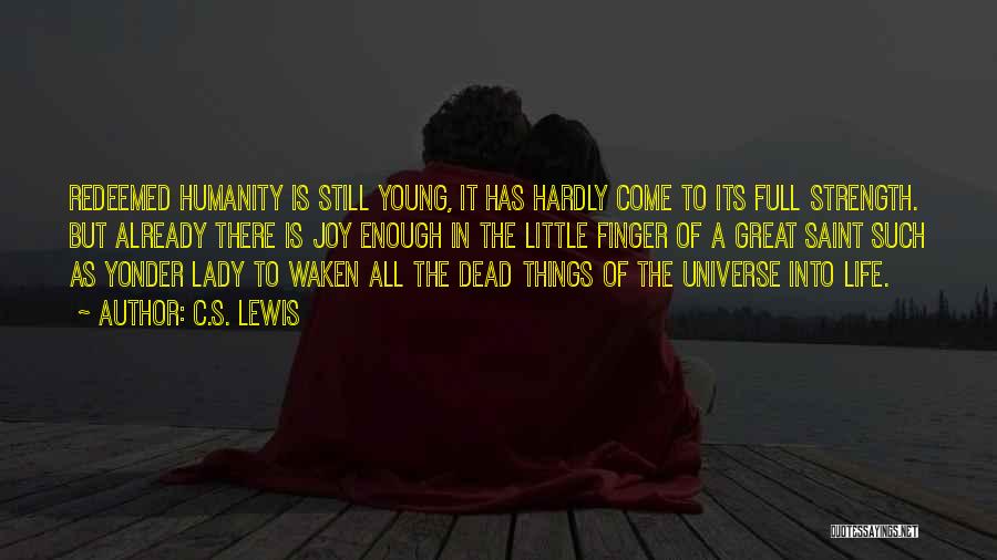 A Young Lady Quotes By C.S. Lewis