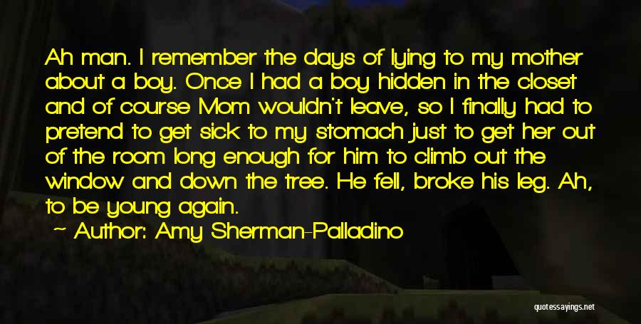 A Young Mom Quotes By Amy Sherman-Palladino