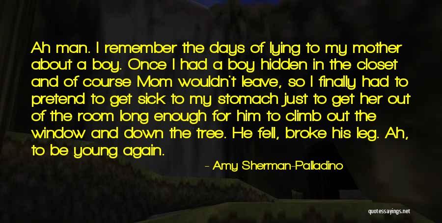 A Young Mom Quotes By Amy Sherman-Palladino