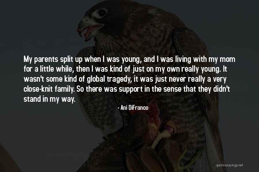 A Young Mom Quotes By Ani DiFranco A Young Mom Quotes By Ani DiFranco