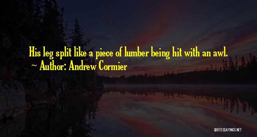 A Zombie Apocalypse Quotes By Andrew Cormier