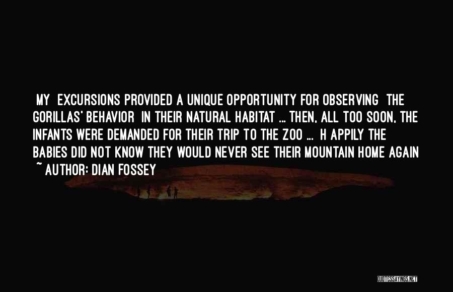 A Zoo Quotes By Dian Fossey