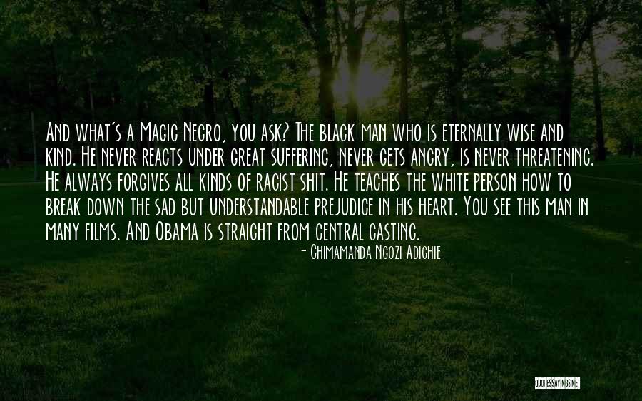 A1 Chimney Quotes By Chimamanda Ngozi Adichie A1 Chimney Quotes By Chimamanda Ngozi Adichie